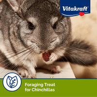 Thumbnail for Vitakraft Cocktail Mixed Fruit Chinchilla Treat, 4.5 oz