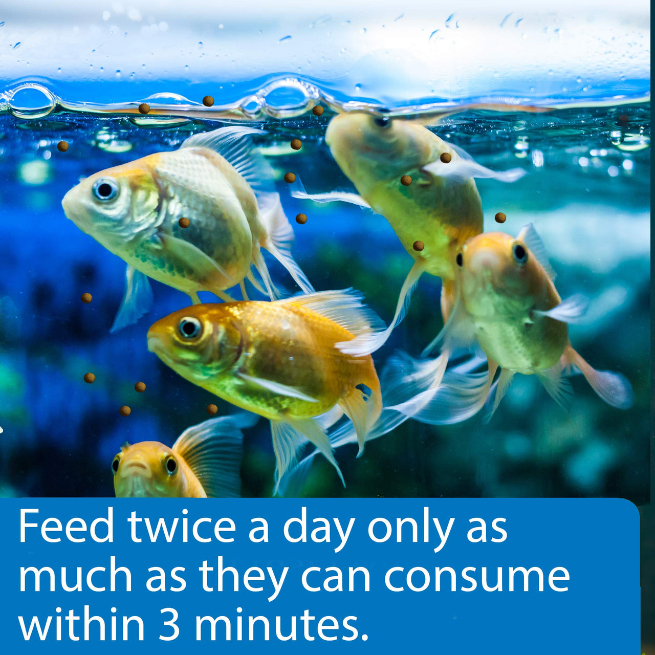 API GOLDFISH PELLETS Fish Food 4-Ounce Container, Medium, Model:833B