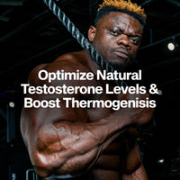 Thumbnail for MuscleTech Thermogenic Testosterone Booster for Men, AlphaTest Thermo - T-Boost Mens Supplement with Tribulus Terrestris - Male Gym Workout Supplements for Muscle Growth, Stamina & Energy - 90 Pills