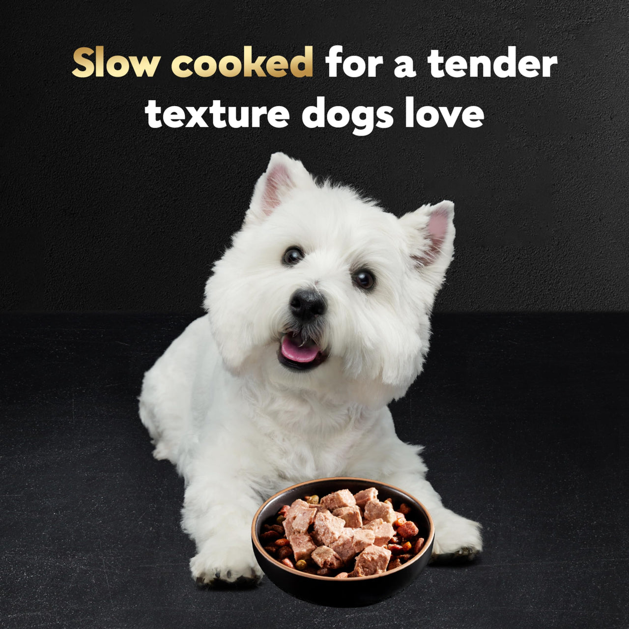 Cesar Wet Dog Food Classic Loaf in Sauce, Duck Recipe, Oven Roasted Chicken Flavor, Grilled Chicken Flavor, and Turkey Flavor, 3.5 oz. Easy Peel Trays, Variety Pack, 24 Count