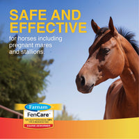 Thumbnail for Farnam FenCare Safe-Guard (fenbendazole) 1.96% Type B Medicated Feed Equine Dewormer 5 Ounces