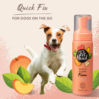 Thumbnail for Pet Head Quick Fix Dog Grooming Foam | Peach Scent | No Rinse Dog Shampoo for Smelly Dogs | Nourishes and Deodorizes Pet Coat & Skin | Vegan | Gentle Formula for Puppies | Made in USA | 6.7 fl. oz.
