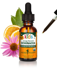 Thumbnail for Herb Pharm Kids Echinacea Extract Alcohol-Free Certified Organic Liquid Herbal Supplement for Kids, Immune Support Drops for Toddlers & Children, Non-GMO, Vegan, Echinacea Purpurea Root, 1 fl oz