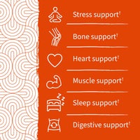 Thumbnail for Garden of Life Magnesium Citrate Supplement Gummies with Prebiotics & Probiotics for Stress, Sleep & Recovery - Vegan, Gluten Free, Kosher, Non-GMO, No Added Sugars, Orange Cream Flavor, 60 Count