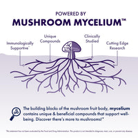 Thumbnail for Host Defense Mushrooms Lion's Mane - Brain Health Support Supplement for Focus & Memory Function - Immune & Nervous System Support Supplement- 30 Capsules