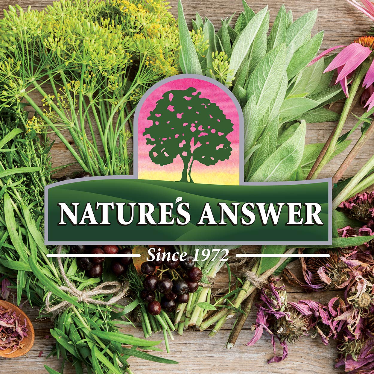 Nature's Answer Tart Cherry 8 Ounce Liquid | Promotes Recovery & Sleep | Rich in Anthocyanins | Non GMO | Gluten Free | Vegan