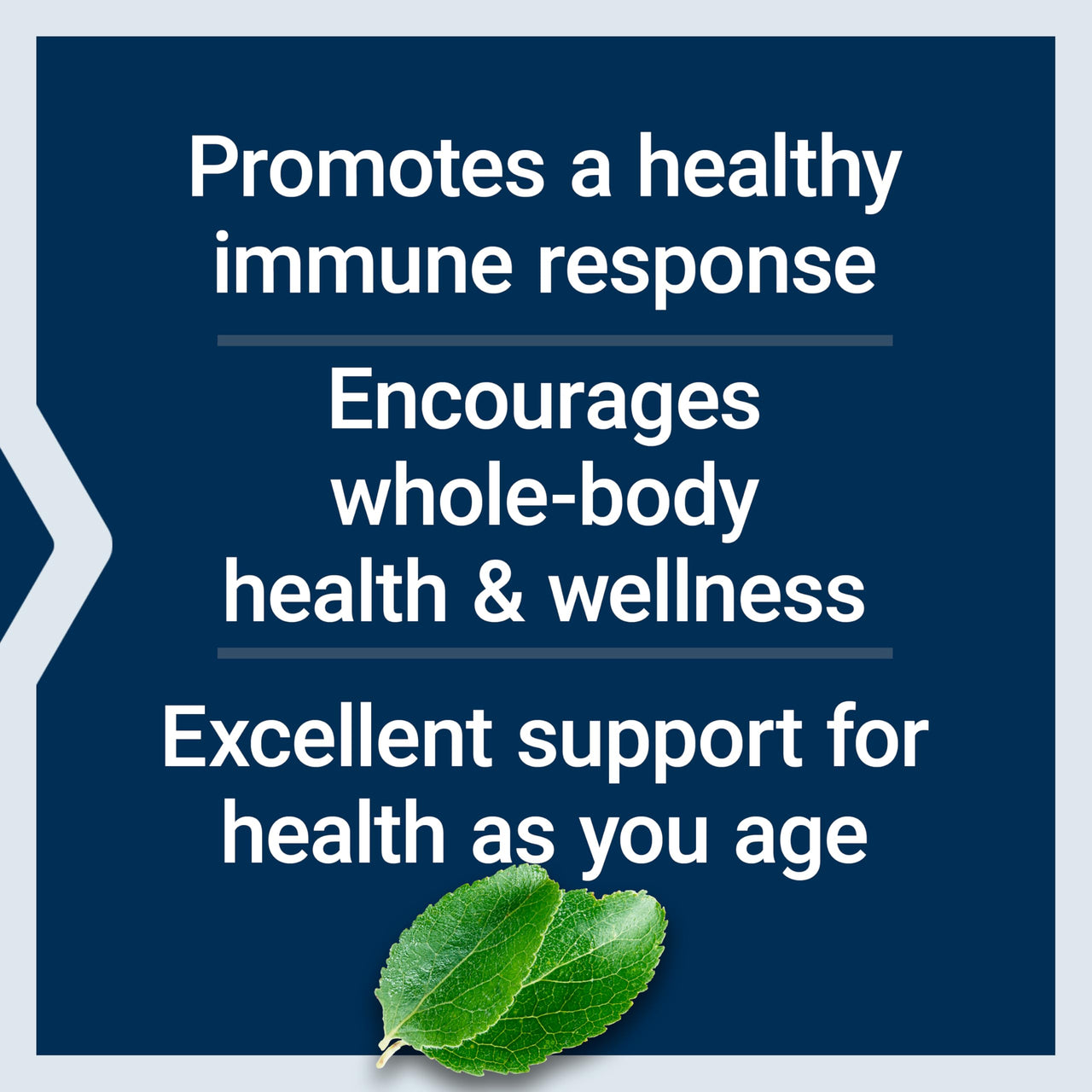 Life Extension Black Cumin Seed Oil, Black Cumin, Immune Health Support, Whole-Body Health, Healthy Aging, Gluten Free, Non-GMO, 60 softgels