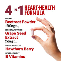 Thumbnail for Force Factor Total Beets Blood Pressure Support Beet Root Capsules, 1800mg Organic Beet Root Powder Beet Supplement with Hawthorn Berry to Support Circulation and Blood Flow, 90 Vegetable Capsules