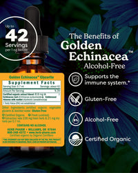 Thumbnail for Herb Pharm Alcohol-Free Golden Echinacea Liquid Glycerite with Goldenseal for Immune System Support - 1 Ounce