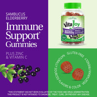 Thumbnail for 21st Century VitaJoy Sambucus Elderberry Gummies, Berry, 60 Count
