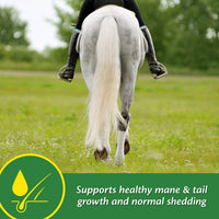 Thumbnail for Farnam Super 14 Healthy Skin & Coat Supplement for Horses, Keeps Coats Shiny & Gleaming Year-Round 2.75 Pound, 44 Day Supply