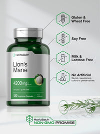 Thumbnail for Horbäach Lions Mane Mushroom Extract | 120 Capsules | Vegetarian, Non-GMO, Gluten Free Supplement
