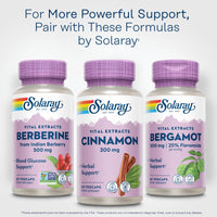 Thumbnail for SOLARAY Cinnamon Extract 300mg - Cinnamon Supplements for Balance - Herbal Support with 24mg Flavonoids - Lab Verified, Gluten Free, 60-Day Guarantee - 60 Servings, 60 VegCaps