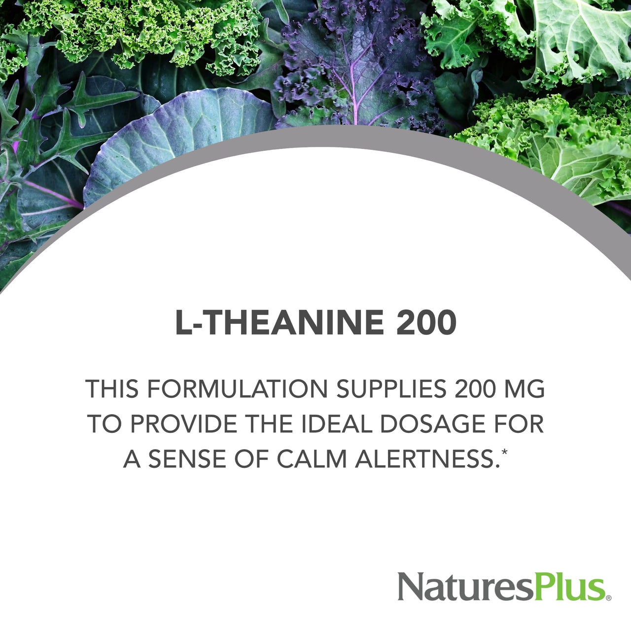 NaturesPlus PRO L-Theanine - 60 Capsules - Supports Calm Alertness, Healthy Relaxation & Improved Rest - Non-GMO, Vegan & Gluten Free - 60 Servings