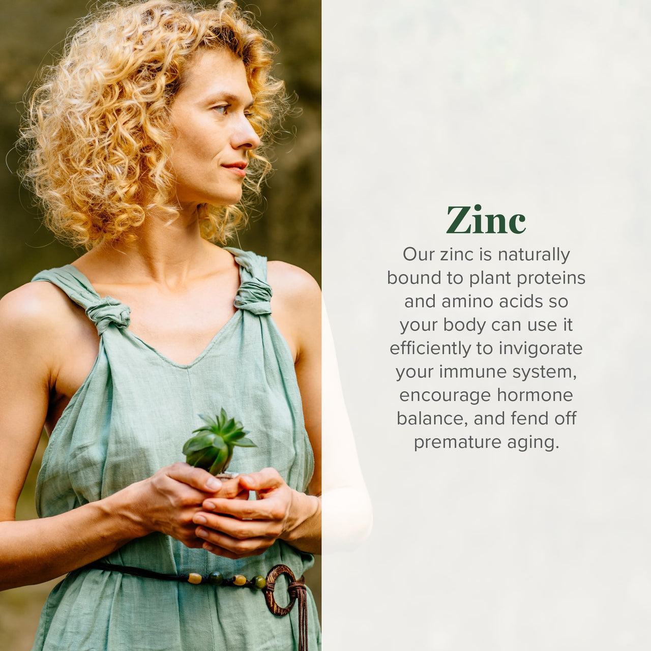 Global Healing USDA Organic Zinc Supplements Liquid - Pure Vitamin Drops for Immune System Boost, Hormone Balance, and Healthy Aging - Natural, Vegan-Friendly, Non-GMO, Organic Zinc Vitamins (2 Fl Oz)