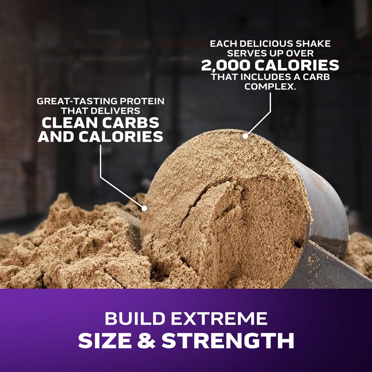 Muscletech High-Protein Mass Gainer (Vanilla Milkshake, 6LB) - Mass Tech Extreme 2000 Mass Gainer Protein Powder Supplement - Weight Gainer for Increase Muscle, Enhanced Recovery & Strength