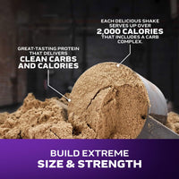 Thumbnail for Muscletech High-Protein Mass Gainer (Vanilla Milkshake, 6LB) - Mass Tech Extreme 2000 Mass Gainer Protein Powder Supplement - Weight Gainer for Increase Muscle, Enhanced Recovery & Strength