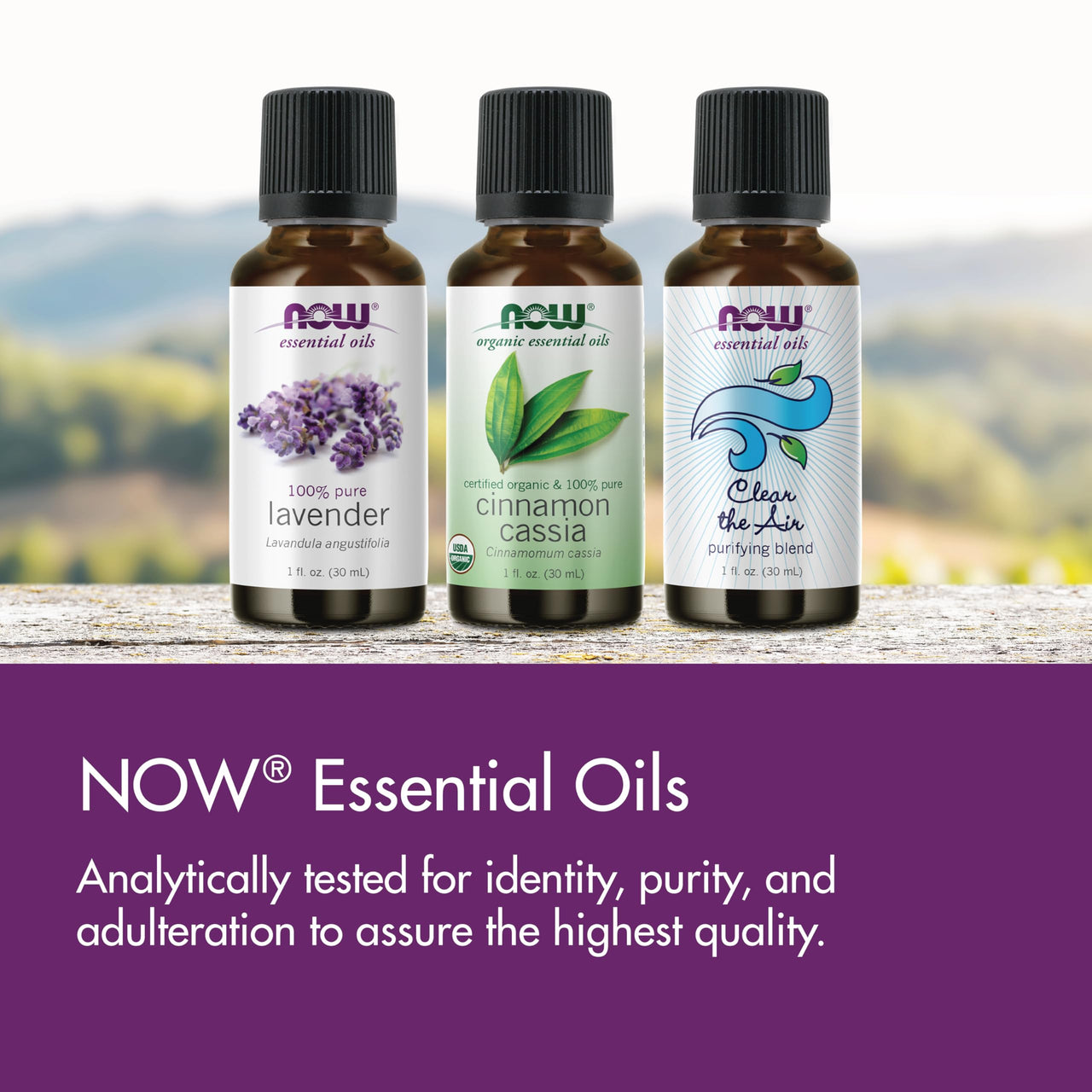 NOW Essential Oils, Oil of Oregano, 25% Blend of Pure Oregano Oil in Pure Olive Oil, Comforting Aromatherapy Scent, Steam Distilled, Vegan, Child Resistant Cap, 1-Ounce