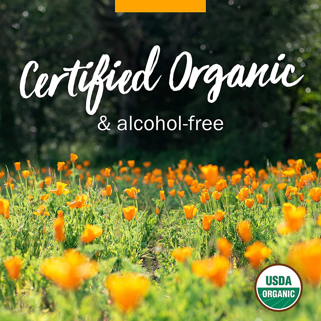 Herb Pharm Certified Organic Feverfew Liquid Extract for Minor Pain Support - 4 Ounce