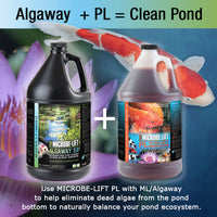 Thumbnail for MICROBE-LIFT ALGA32 Algaway 5.4 Algae Control Treatment for Ponds and Water Gardens, Safe for Koi Fish, Goldfish, Plants, and Decorations, 32 Ounces