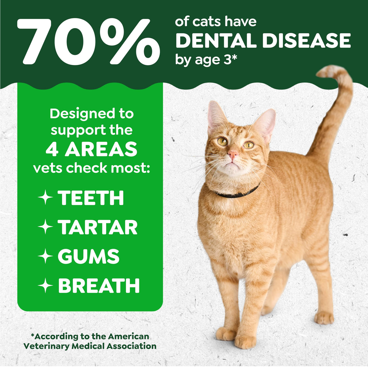 Greenies Cat Treats, Feline Veterinarian-Recommended Adult Natural Dental Treats, Catnip Flavor, 21 oz. Tub