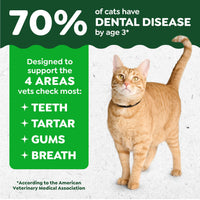 Thumbnail for Greenies Cat Treats, Veterinarian-Recommended Adult Natural Dental Cat Treats, Tempting Tuna Flavor, 9.75 oz. Tub