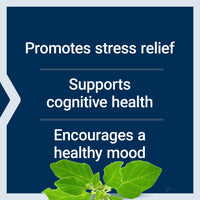 Thumbnail for Life Extension Optimized Ashwagandha - Stress Management Supplement for a Healthy Stress Response, Focus, Memory, Stress Relief - Vegetarian, Gluten-Free, Non-GMO, 60 Capsules