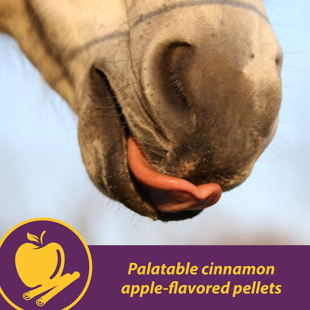 Horse Health Joint Combo Hoof & Coat, Glucosamin, Chrondroitin, Vitamin C, MSM, Biotin, Lysine, ZInc, Omega 3 and 6 Fatty Acids, 64 day supply