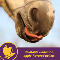 Thumbnail for Horse Health Joint Combo Hoof & Coat, Glucosamin, Chrondroitin, Vitamin C, MSM, Biotin, Lysine, ZInc, Omega 3 and 6 Fatty Acids, 64 day supply
