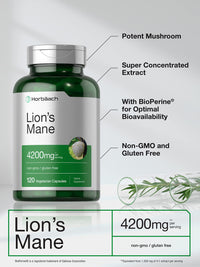 Thumbnail for Horbäach Lions Mane Mushroom Extract | 120 Capsules | Vegetarian, Non-GMO, Gluten Free Supplement