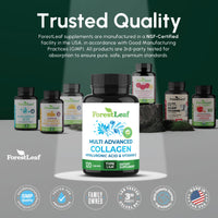 Thumbnail for ForestLeaf Multi Collagen Pills with Hyaluronic Acid + Vitamin C | Hydrolyzed Collagen Supplements for Women or Men | Multi Collagen Capsules Peptides for Skin, Wrinkles, 120 Caps