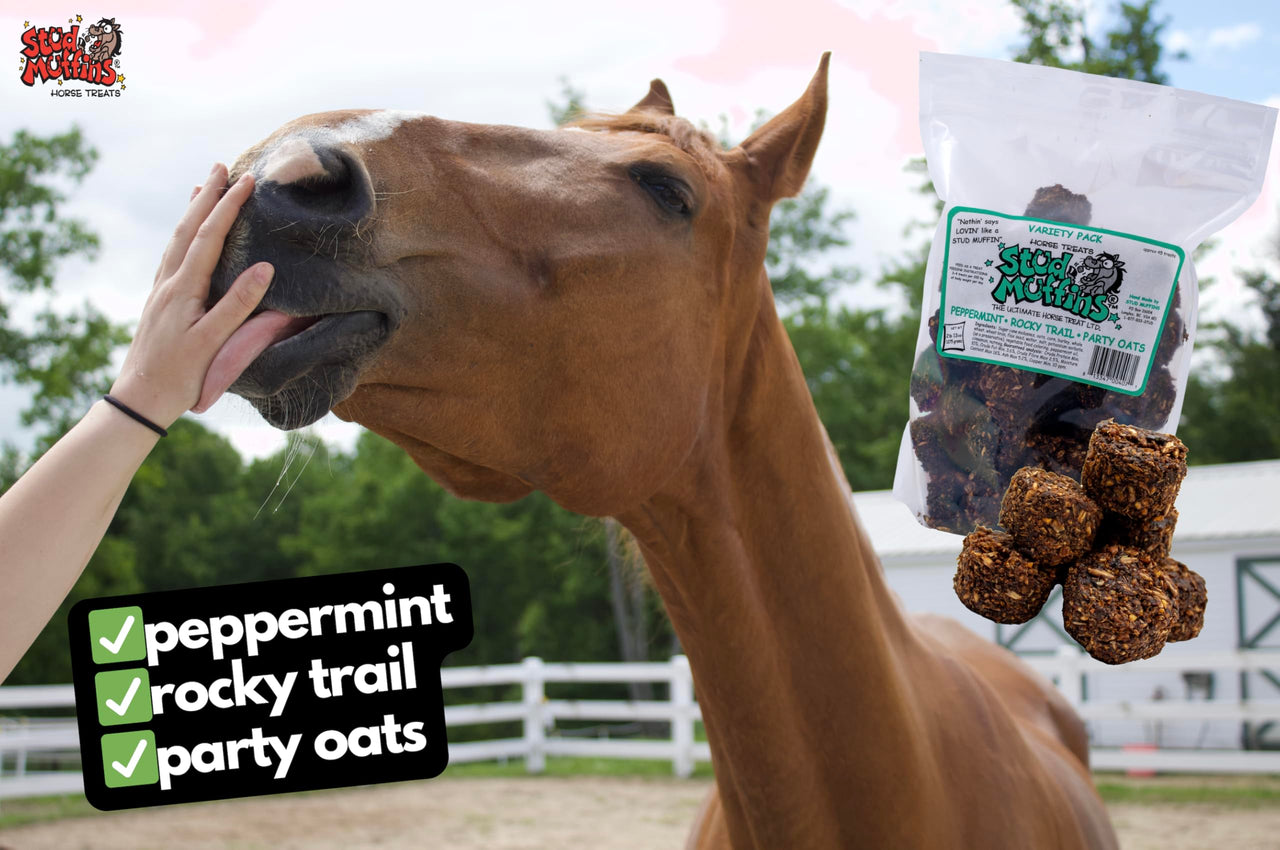 Stud Muffins 1045R Stud Muffins Horse Treats - Variety Pack, 45 Oz Bag