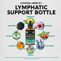 Thumbnail for USDA Organic Lymphatic Drainage Supplement - Echinacea | Elderberry | Dandelion | Rosehip | Cleavers | Calendula | Burdock - Made in USA - Lymph System Drops - Immune Support, Cleanse & Detox, 2 fl oz