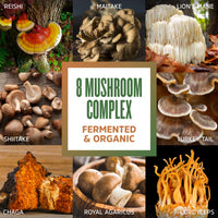 Thumbnail for ZHOU Mushroom 8-Plex - Mushroom Supplement, Powder Blend, Coffee Alternative for Adults, Nootropic Complex for Health with Chaga, Lions Mane, Reishi & Turkey Tail - 2.14oz (30 Servings)