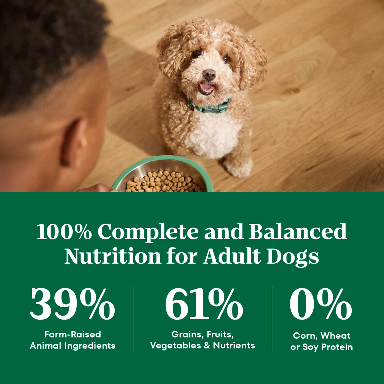 Nutro Natural Choice Small Bites Dry Dog Food, Adult Dog Food Dry Lamb & Brown Rice Recipe, 5 lbs.