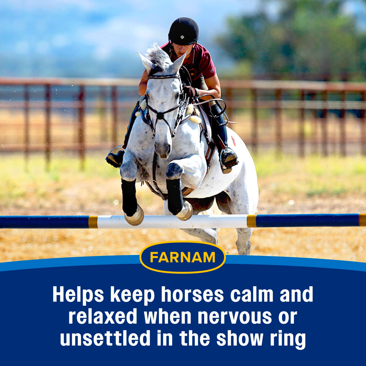 Farnam Quietex Show Pellets, Horse Calming Supplement and Focus Support, Show Safe Horse Calming Magnesium Supplement with Omega Fatty Acids, Helps Manage Behavior & Stress Relief for Horses, 3.75 lbs