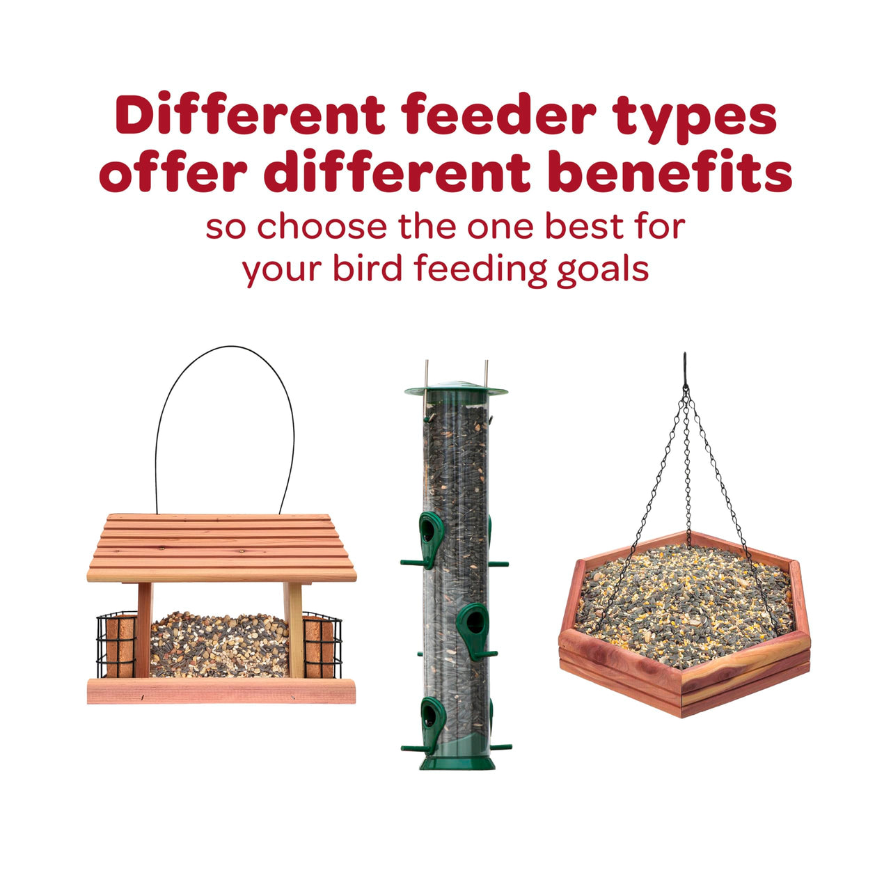 Kaytee Wild Bird Finch Food Blend, 3 lb