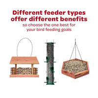 Thumbnail for Kaytee Wild Bird Finch Food Blend, 3 lb
