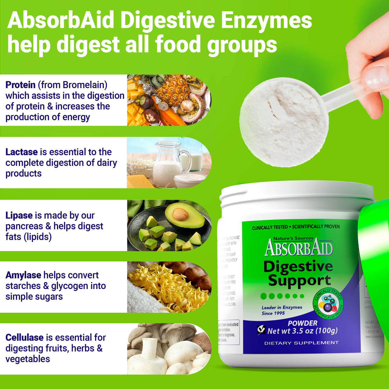 AbsorbAid Digestive Enzymes 100 Grams, Proven to Increase Vital Nutrient Absorption by up to 71%