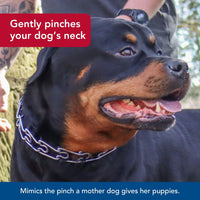 Thumbnail for Coastal Pet Titan Dog Prong Training Collar - Rust-Resistant and Prong Metal Training Chain Collar for Dogs - Quality Supplies - 2 mm x 14