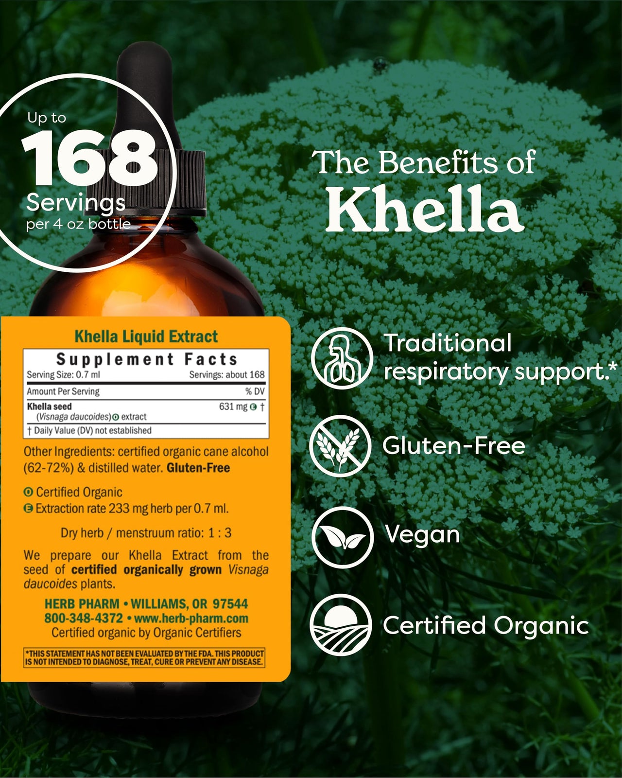 Herb Pharm Khella Liquid Extract for Respiratory System Support - 4 Ounce