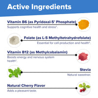 Thumbnail for Superior Source No Shot Vitamin B-12 Methylcobalamin 1000 mcg, B-6, & Methylfolate 1000 mcg - Supports Energy, Brain, and Heart Health - Bariatric Friendly - 60 Sublingual Dissolving Tablets