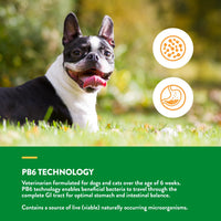 Thumbnail for NaturVet – Advanced Probiotics & Enzymes - Plus Vet Strength PB6 Probiotic | Supports and Balances Pets with Sensitive Stomachs & Digestive Issues | for Dogs & Cats (4 oz)