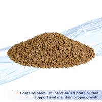 Thumbnail for Aqueon Nutrinsect Fish-Free Fish Food, Goldfish Pellets, 1.76 oz