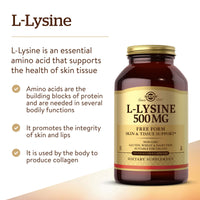 Thumbnail for Solgar L-Lysine 500 mg, 250 Vegetable Capsules - Enhanced Absorption & Assimilation - Promotes Integrity of Skin & Lips - Collagen Support - Amino Acids - Non-GMO, Vegan, Gluten Free