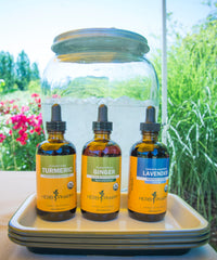Thumbnail for USDA Organic Ginger Root Extract*: Digestion & Circulatory Support | Ginger Tincture for Occasional Nausea | Non-Bitter Vegan Digestive Supplement | 4 Oz, Up to 3 Months Supply