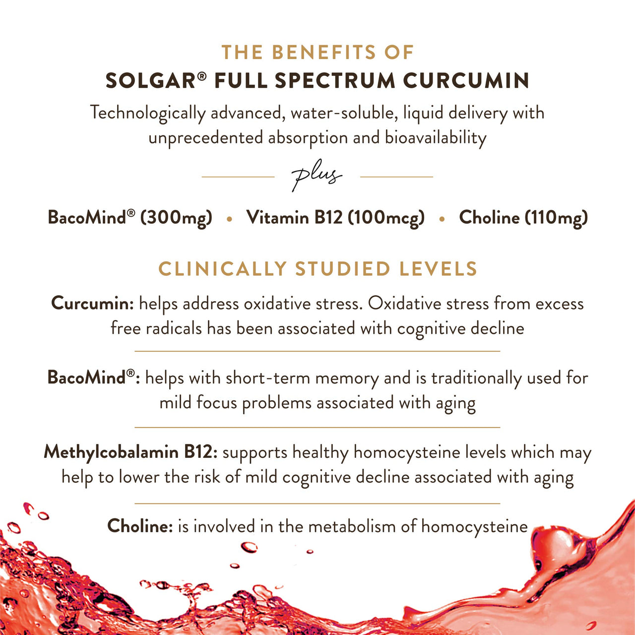 Solgar Full Spectrum Curcumin Brain Works, 90 Licaps - Support Memory Recall, Focus, Cognitive Function - Antioxidant Support - Curcumin, BacoMind, Choline, Vitamin B12 - Non-GMO, Vegan - 30 Servings