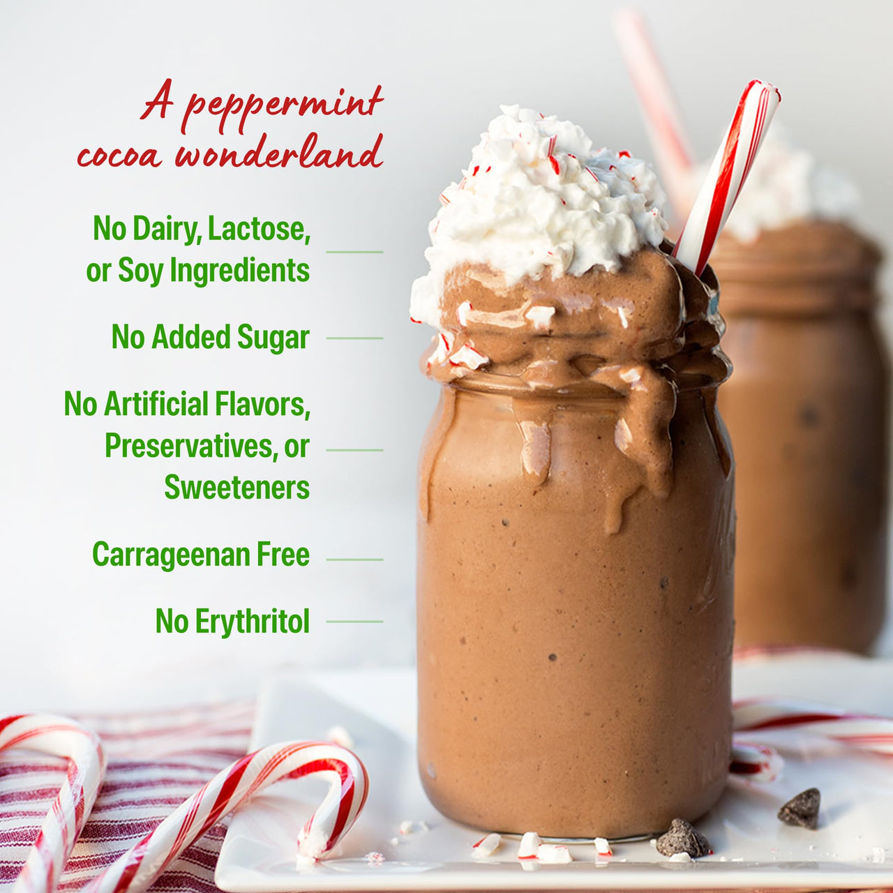 Orgain Organic Vegan Protein Powder, Peppermint Hot Cocoa Holiday Flavor - 21g of Plant Protein, 5g Prebiotic Fiber, No Lactose Ingredients, No Added Sugar, Non-GMO, For Shakes & Smoothies, 1.02 lb