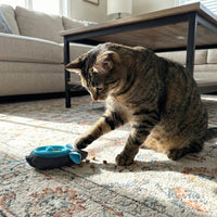 Thumbnail for SPOT Doc and Phoebe's Cat Hunting Snacker - Interactive Indoor Treat Dispenser, Encourage Natural Instincts to Hunt, Provide Mental Stimulation, Solve Behavioral Problems & Obesity, Pack of 1 Mouse