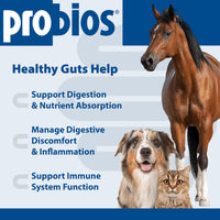 Thumbnail for Probios Digestive Support Probiotic for All Species, Probiotics for Gut Health, Dispersible Powder, 240 gm (Pack of 2)